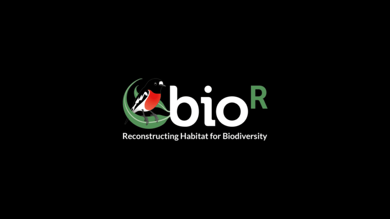Bior: Reconstructing Habitat for Biodiversity