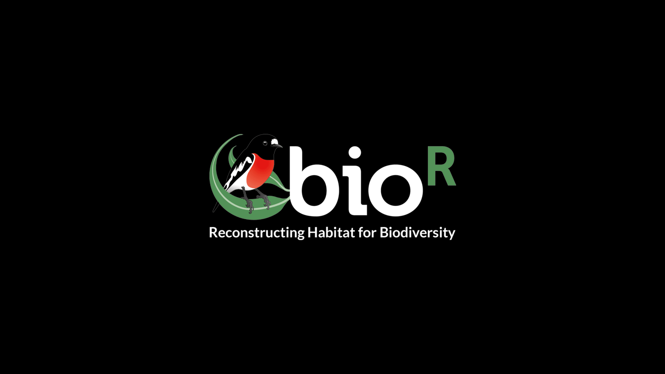 Bior: Reconstructing Habitat for Biodiversity